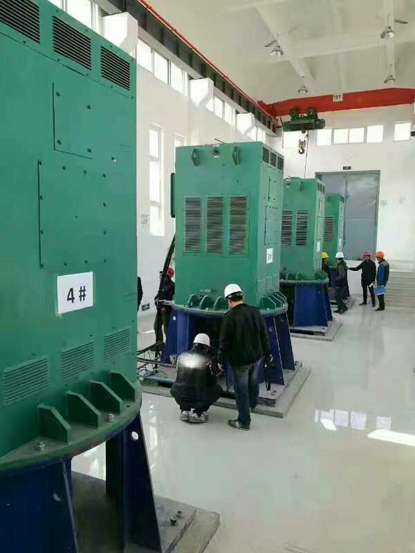 成县某污水处理厂使用我厂的立式高压电机安装现场